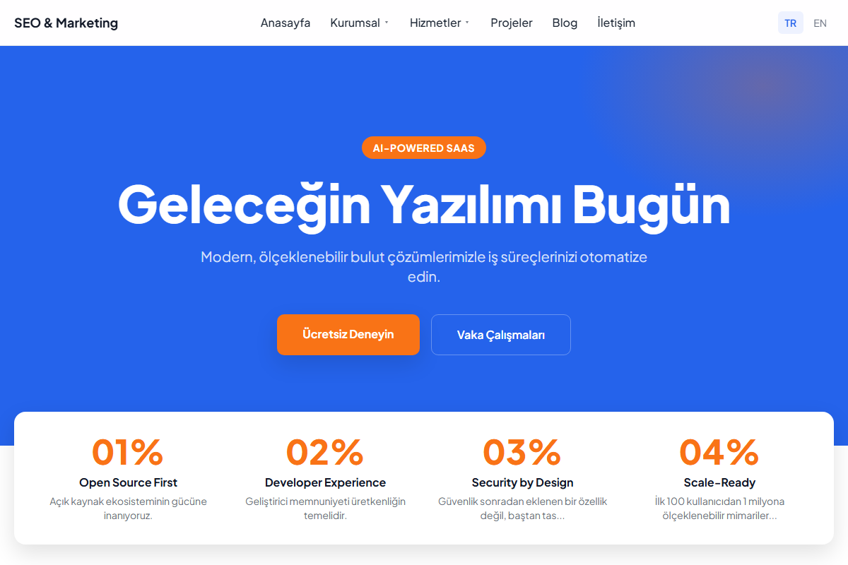SEO & Marketing teması